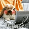 Nove you Estaba buscando mis ganas de vivir y te encontré a ti bb