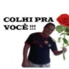 COLHI PRA
VOCÊ!!!