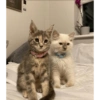 This could be us 9
