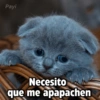 Payi
Necesito
que me apapachen