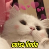 PARA OS APAIXONADOS(AS) 6