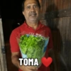 ΤΟΜΑ