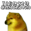 Ya tien que te
afecta biejo Puto
KANE STICKERS