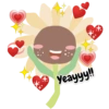 Sunfloppy 8