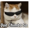 Gatos Cura depresión 😽💕 10