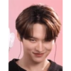 Stray Kids mis papus 15