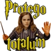 Hechizos Harry Potter • Est AA 9