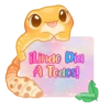🦎💕Gecko Aurora💕🦎 7