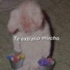 Pa’ Enamorar 😏🤭 27