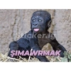 Sticker.ly
ŞIMAWRMAK