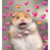 MEME LOVE 💕 9