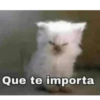 Que te importa