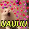 UAUUU
