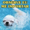 OBSERVE EU
ME IMPORTAR
