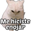 😡😤🤬Memes Enojados 😠😒😡 27