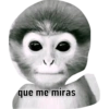 Hol 3