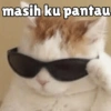 Meong yg ramah 5