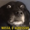 Frases mais usadas 🗯 6