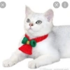 Gatos de navidad y de perros 9