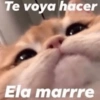 Pa’ Enamorar 😏🤭 18