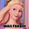 Meme Barbie 12