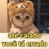 ㅈ
até calado
você tá errado
