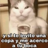 @Harley Stickers
y si te invito una
copa y me acerco
a tu boca