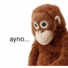 ayno...