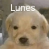 Lunes