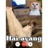 AkuPadamu 9