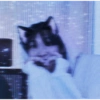 Soft BTS 26
