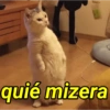 quié mizera