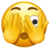 Emojis 13