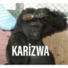 KARİZWA