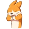 Cute dog 6