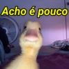 Os mais debochados 5