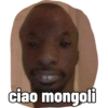 ciao mongoli