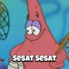 SESAT SESAT