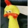 Memes 23