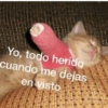 Gatitos Memes😺✨💕2 18