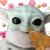 GROGU MODELO 21