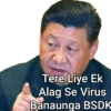 MEMES 15