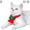 Gatos de navidad y de perros 16