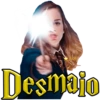 Hechizos Harry Potter • Est AA 21