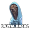 Buena noCHE