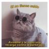 Gatitos Anti-depresivos Vol.1 14