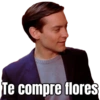 Memes spiderman  20