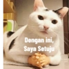 Kucing oyen 14