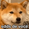 Indiretas 🥰 10
