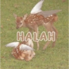 Aesthetic Stiker 11